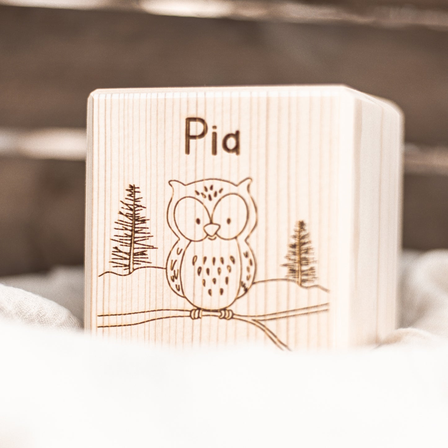 HOLZ SPARDOSE